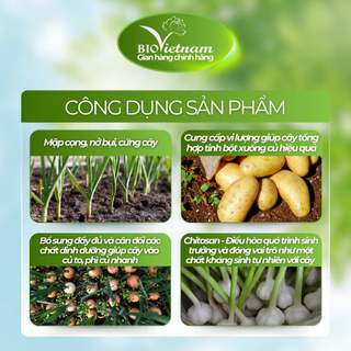 (MUA 5 TẶNG 1) Phân bón hỗn hợp BIO SIÊU TO CỦ 1kg củ phình to, chắc củ, nặng ký, tăng năng suất hiệu quả cao