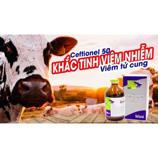 Thuốc thú y Interchemie Ceftionel 50 -100ml dùng Viêm vú viêm móng viêm phổi chó mèo gia súc gia cầm