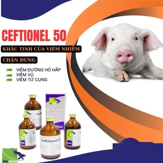 Thuốc thú y Interchemie Ceftionel 50 -100ml dùng Viêm vú viêm móng viêm phổi chó mèo gia súc gia cầm