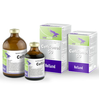 Thuốc thú y Interchemie Ceftionel 50 -100ml dùng Viêm vú viêm móng viêm phổi chó mèo gia súc gia cầm