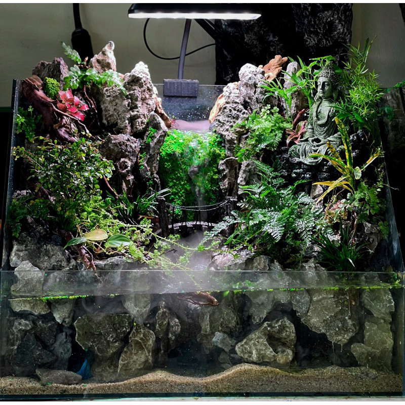 mô hình câu dây treo nhựa trang trí tiểu cảnh,terrarium