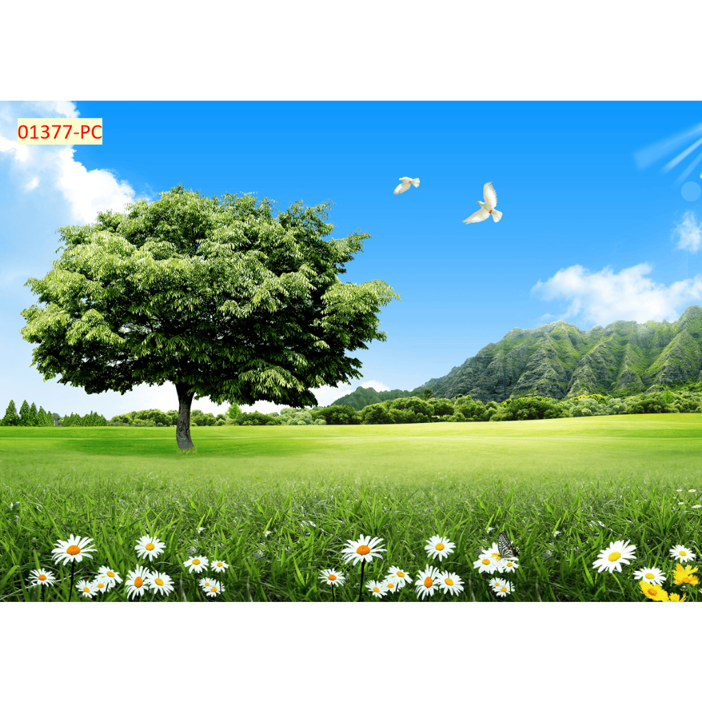 Tranh lụa 3D bầu trời và thảm cỏ xanh mướt, trang trí phòng khách