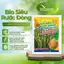 Phân bón lá hữu cơ sinh học | BIO VIỆT NAM