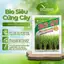 Phân bón lá hữu cơ sinh học | BIO VIỆT NAM