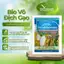 Phân bón lá hữu cơ sinh học | BIO VIỆT NAM