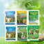 Phân bón lá hữu cơ sinh học | BIO VIỆT NAM