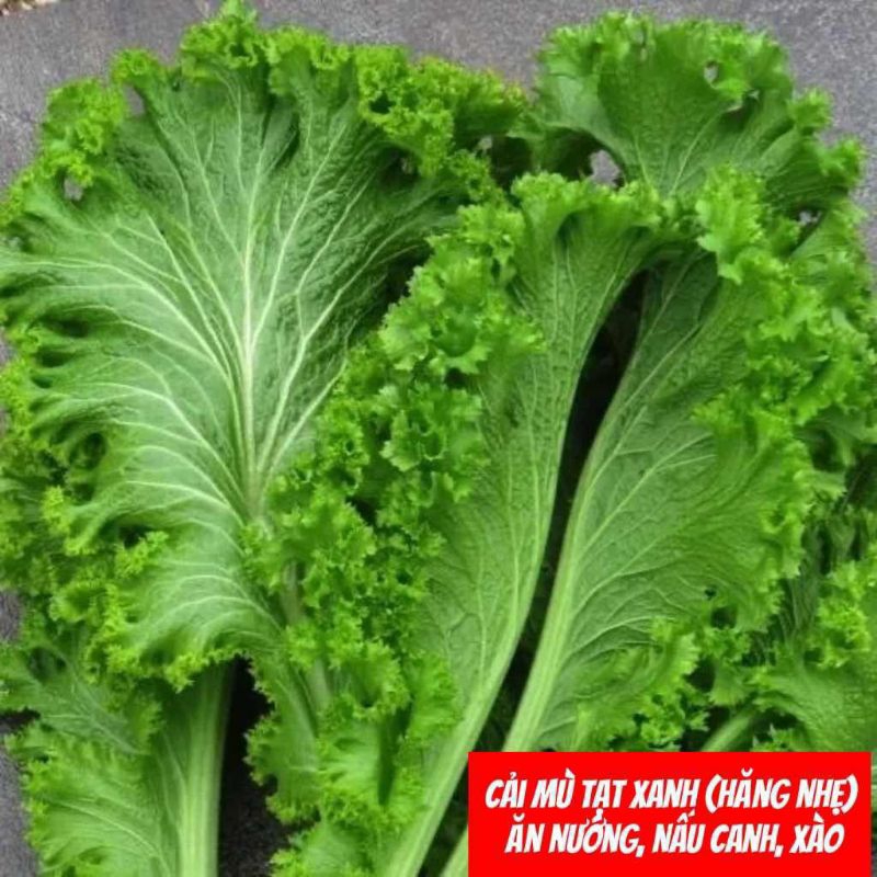 Các Loại Hạt Giống Rau Cải Chọn Lọc, Chịu Nhiệt Tốt, Ăn Ngon Chất Lượng Cao