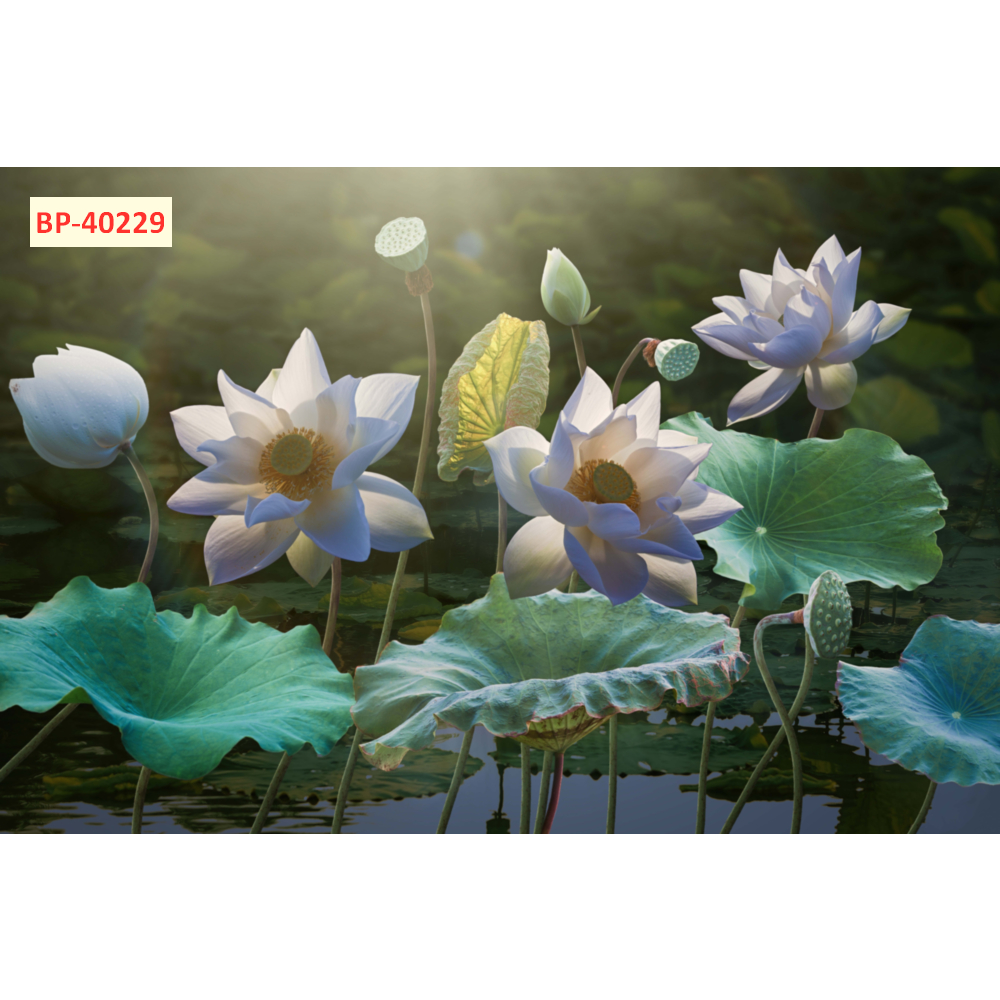 Tranh lụa 3D nghệ thuật hoa sen, decor phòng khách hiện đại sang trọng