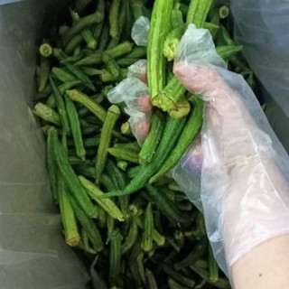 Đậu Bắp Sấy Giòn – Ăn Vặt Healthy, Giữ Trọn Chất Xơ & Dinh Dưỡng