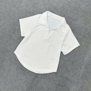 Áo Thun Bigsize Nữ Dáng Áo Polo Tay Ngắn Che Bụng Vải Thun Tăm Co Giãn G178