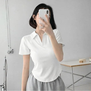 Áo Thun Bigsize Nữ Dáng Áo Polo Tay Ngắn Che Bụng Vải Thun Tăm Co Giãn G178