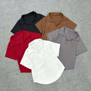 Áo Thun Bigsize Nữ Dáng Áo Polo Tay Ngắn Che Bụng Vải Thun Tăm Co Giãn G178