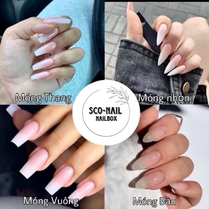 ( hỏa tốc) NAIL BOX THẠCH LOANG SANG CHẢNH