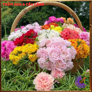 combo hoa làm riêng theo yêu cầu khách