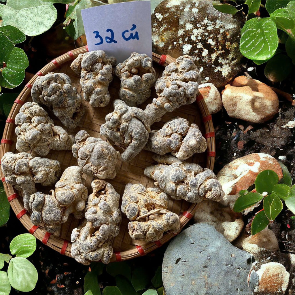 Tam Thất Bắc Khô Loại 1 Lai Châu Hàng chuẩn chất lượng cao 1kg