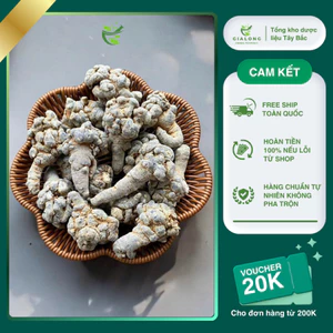 Tam Thất Bắc Khô Loại 1 Lai Châu Hàng chuẩn chất lượng cao 1kg