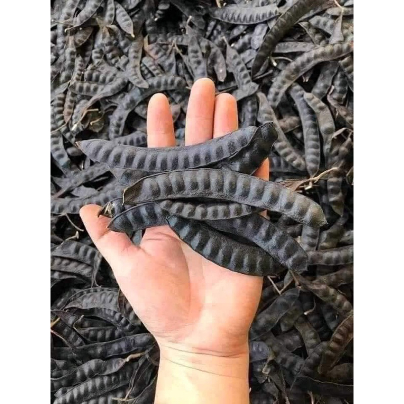500G Quả Bồ Kết Khô, Bồ Kết Nguyên Chất Dùng Để Xông Nhà, Gội Đầu Hàng Loại 1