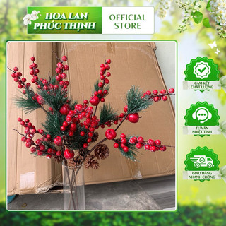 combo 3 cành đào đông tuyết 💥 đào đông noel- đào đông lá thông