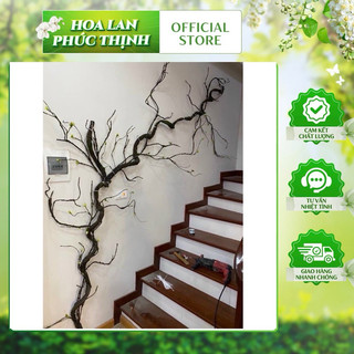 thân cây cổ rêu  sùi 1,8m (tặng 2 móc treo)💥thân dây cổ lõi thép dẻo dễ uốn nắn💥
