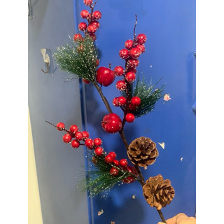 combo 3 cành đào đông tuyết 💥 đào đông noel- đào đông lá thông
