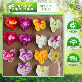 combo 10 bông lan hồ điệp vải 💥bông hồ điệp vải in 3d💥 bông 10cm
