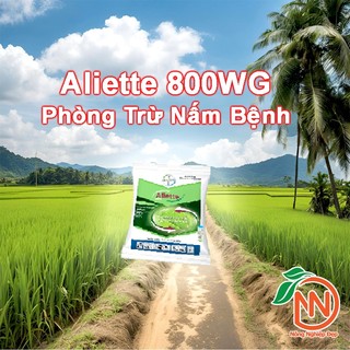 Aliette 800wp Gói 100g - Trừ Nấm Bệnh Và Xử Lý Thối Gốc, Thối Rễ