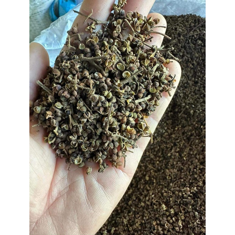 Hạt Mắc Khén hàng loại 1 gia vị ướp đồ nướng túi 500g - 1kg