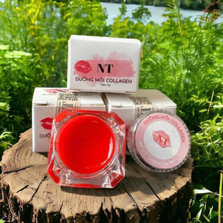 DƯỠNG MÔI COLLAGEN NT KÍCH MÀU MÔI
