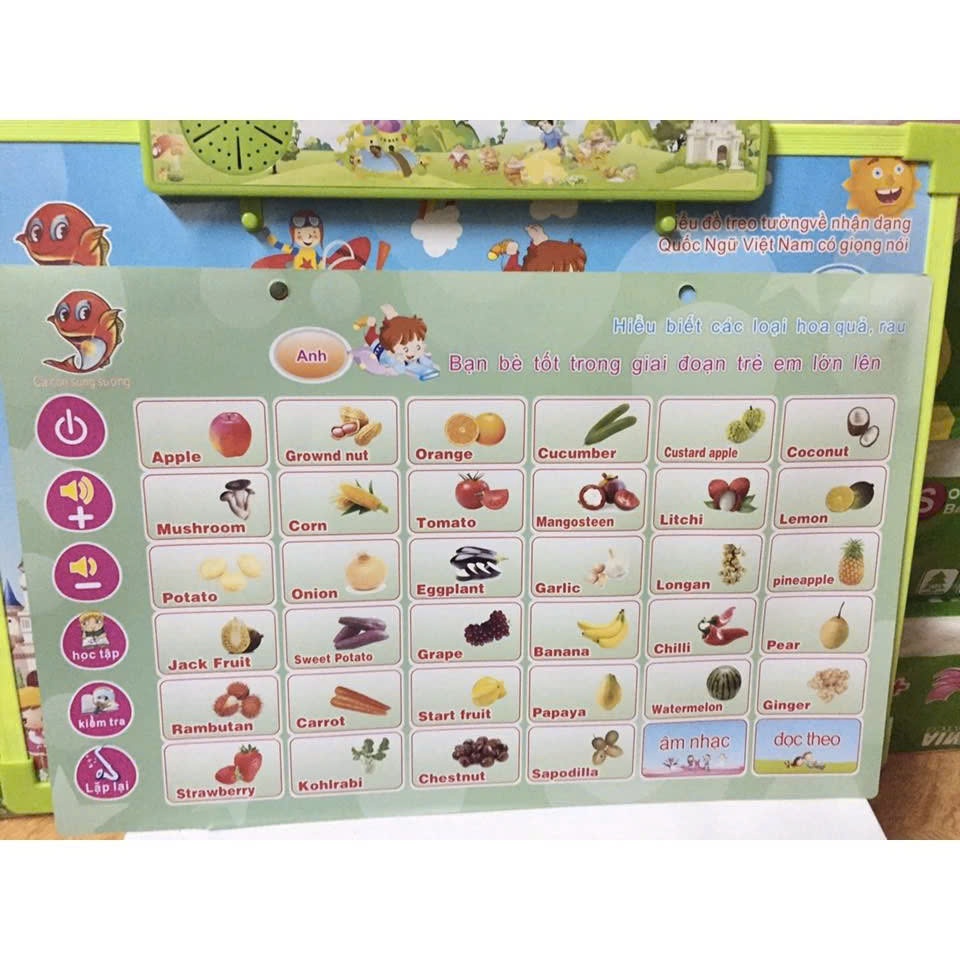 [Tặng 3pin] Bảng chữ cái có tiếng nói song ngữ Tiếng Việt/Tiếng Anh 5 chủ đề.
