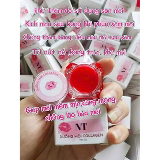 DƯỠNG MÔI COLLAGEN NT KÍCH MÀU MÔI