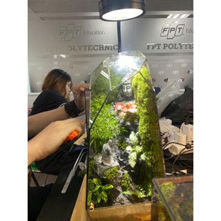Terrarium thiền sư bái phật