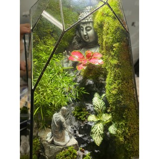 Terrarium thiền sư bái phật