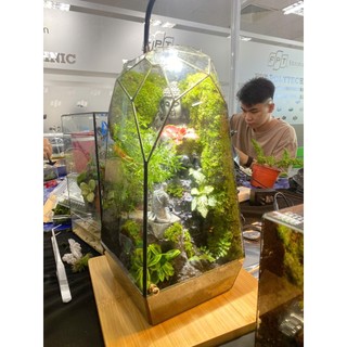 Terrarium thiền sư bái phật