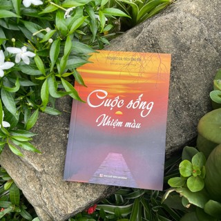 Sách - Cuộc Sống Nhiệm Màu - Vĩnh Nghiêm Books - Nhà Sách An Thư