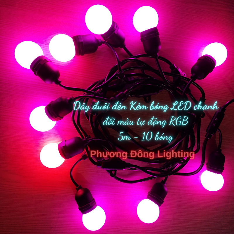 Dây đuôi đèn Kèm bóng LED chanh đổi màu tự động RGB 1w