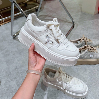 ( Sẵn ) Giày Bata Đế Độn Fullbox QC / Mieo Shoes B757 B758