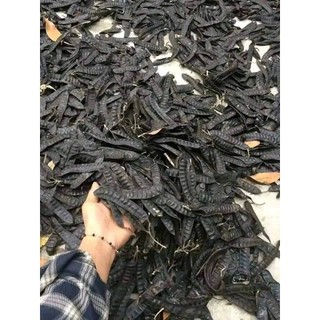 1kg bồ kết khô xông nhà gội đầu, xông phòng chống dịch
