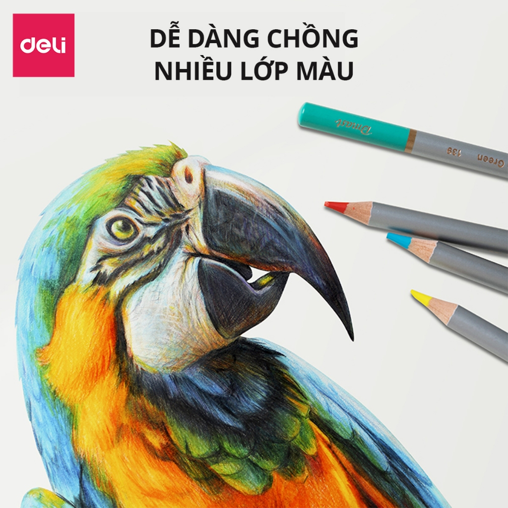Bút Chì Màu Gốc Dầu/Gốc Nước 36 72 Màu Hộp Thiếc Cao Cấp Deli - Lõi 4mm Màu Đậm Mịn Vẽ Thiết Kế Tô Màu Chuyên Nghiệp