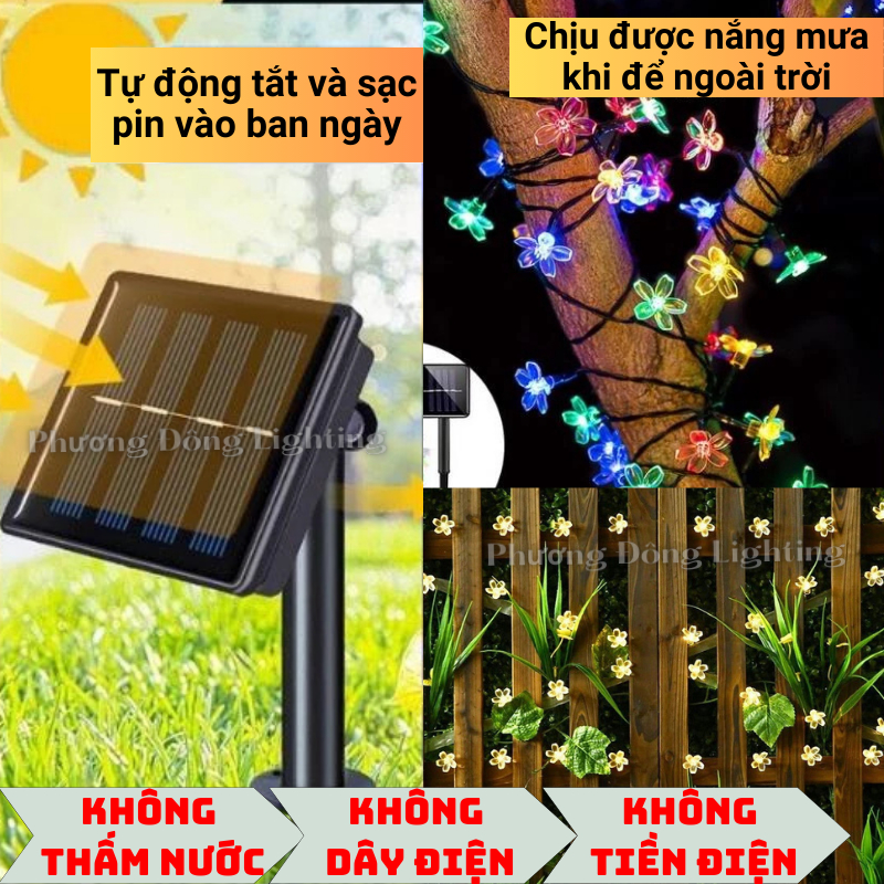 Dây đèn LED Hoa mai Năng lượng mặt trời 7m - 50 bóng Tiền điện không đồng Trang trí siêu đẹp