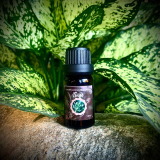 Tinh Dầu Hỗ Trợ Cảm Xúc Aphrodisiac Scent Stimulating Excitement