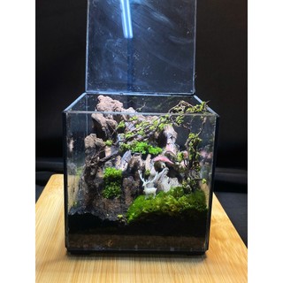 Terrarium " Vườn địa đàng " quà tặng ý nghĩa  ( Valentine, sinh nhật, anniversary,...)