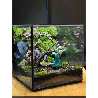Terrarium Phong cách nhật bản " Rừng nhỏ của Mei " quà tặng sinh nhật