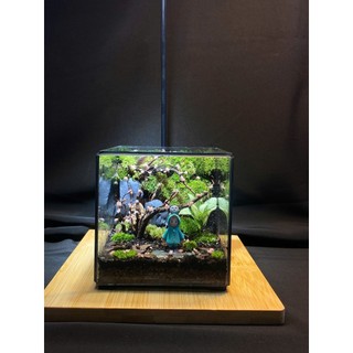 Terrarium Phong cách nhật bản " Rừng nhỏ của Mei " quà tặng sinh nhật