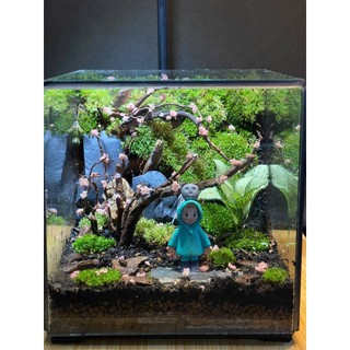 Terrarium Phong cách nhật bản " Rừng nhỏ của Mei " quà tặng sinh nhật