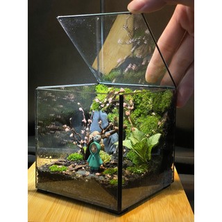 Terrarium Phong cách nhật bản " Rừng nhỏ của Mei " quà tặng sinh nhật