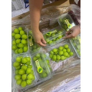 [ SALE SALE ]  Nho xanh   hộp 450gr bán rẻ chạy chương tương tác