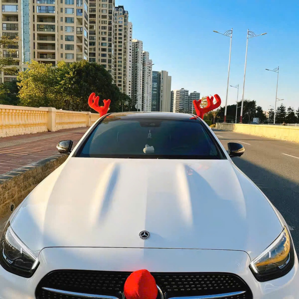 Funny Santa Hoodie