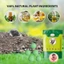 Băng Phiến Đuổi Chuột PROMAX10 Viên To Tròn 400g Xua Chuột Hiệu Quả Lâu Dài, An Toàn
