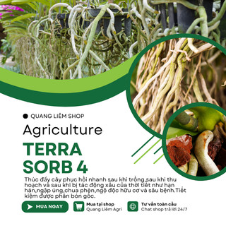 Phân Bón Lá Siêu Kích Rễ Terra Sorb 4, chống hạn, ngập úng, phèn mặn - (chai 100ml/235ml)