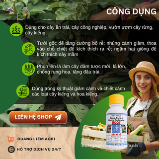 Phân Bón Lá Siêu Kích Rễ Terra Sorb 4, chống hạn, ngập úng, phèn mặn - (chai 100ml/235ml)